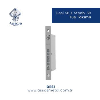 Desi SB K Steely SB Tuş Takımlı